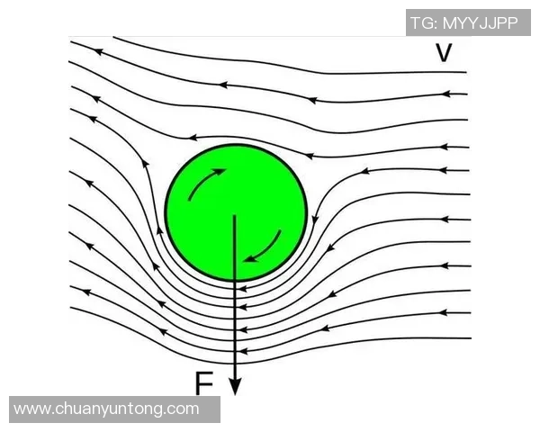 上海乒乓球队整体压制战术解析与实战应用探讨